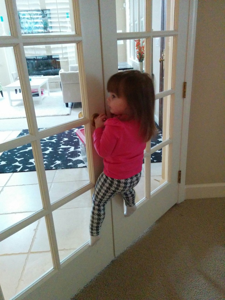 Holly even climbs doors.